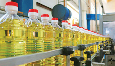 Oil